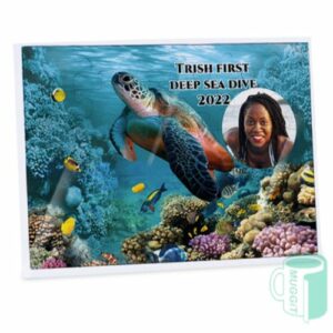 CB Gloss Std 30pc - Medium